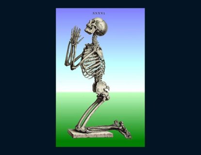 Cheselden ve Osteografisi 1733 – Stille birleşen anatomi