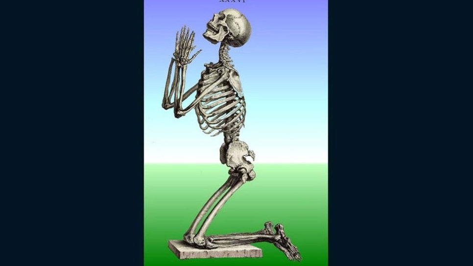 Cheselden ve Osteografisi 1733 – Stille birleşen anatomi