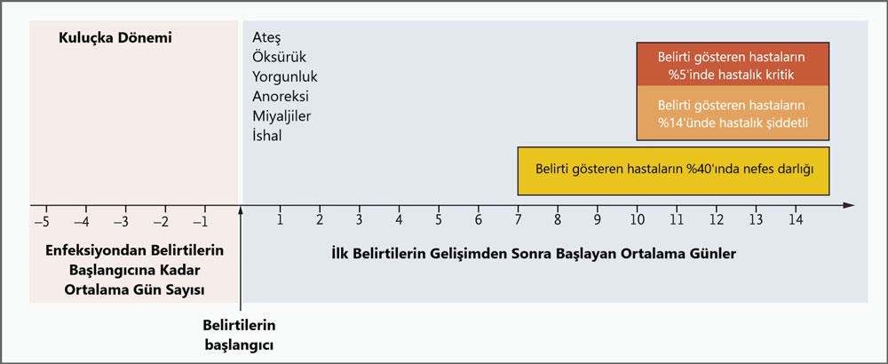 Zeitverlauf der Symptome bei schwerer Covid 19