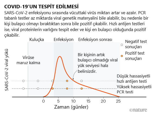 covid 19 nasil tespit edilir 696169