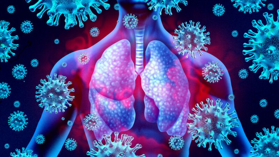 Wie beeinflusst das neuartige Coronavirus den Körper? Wie schädigt es Lunge und andere Organe? CORONAVIRUS-POSTER