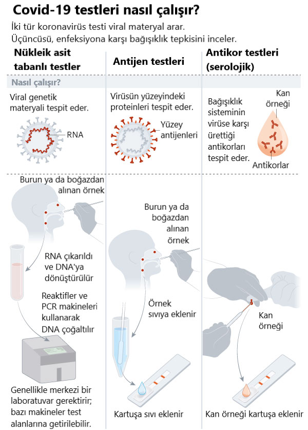 covid 19 testleri nasil calisir hizli korona testi pcr antikor antijen 250574