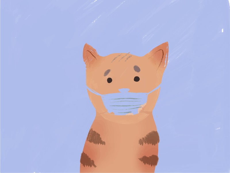 What we know about the COVID 19 virus and pets