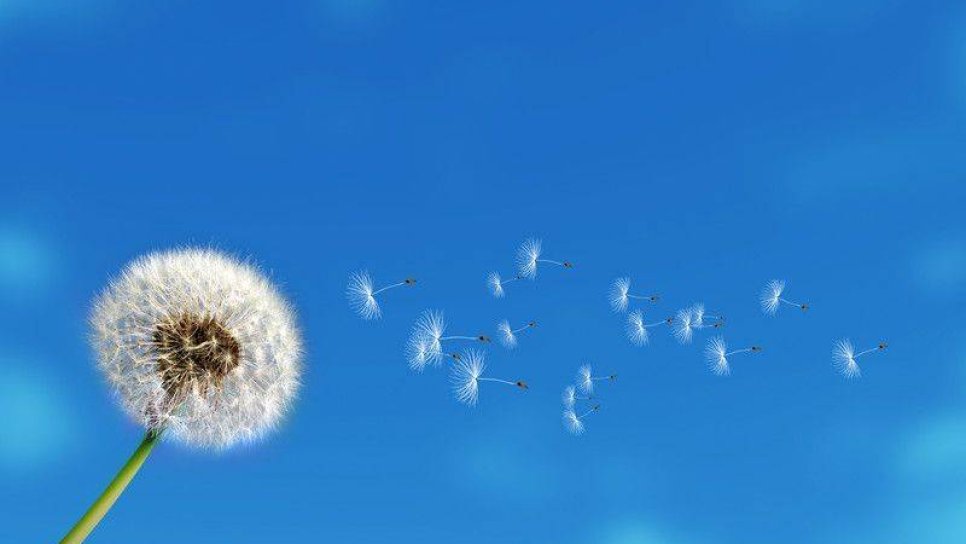 CRISPR Altın Nanopartikül Kullanarak Otizm İlişkili Davranışların Tedavisi