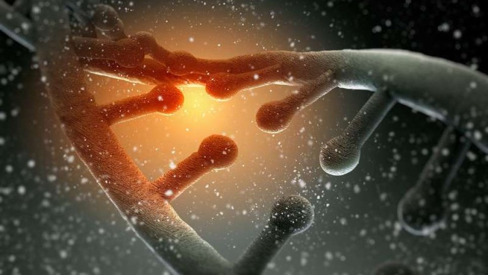 CRISPR-Cas3 Adlı Yeni Bir Gen Düzenleme Sistemi Geliştirildi