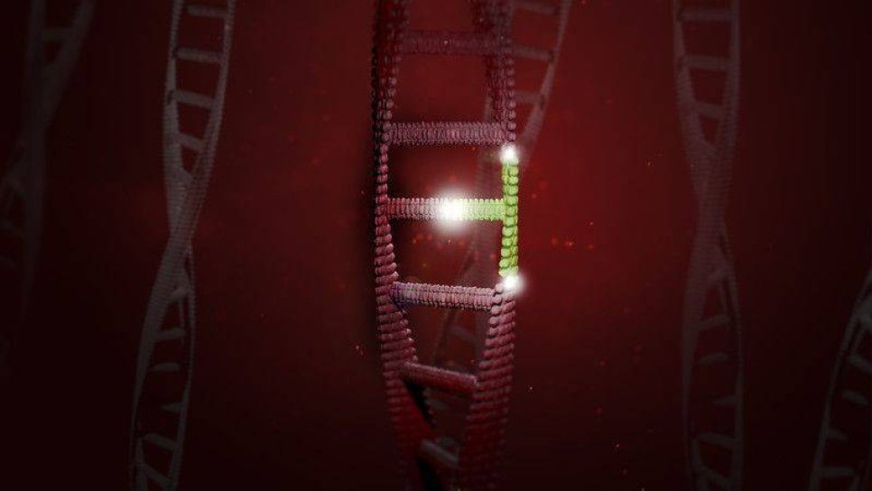 CRISPR ile Her Bir Kanser Hücresinin Büyümesi Takip Edilebilecek