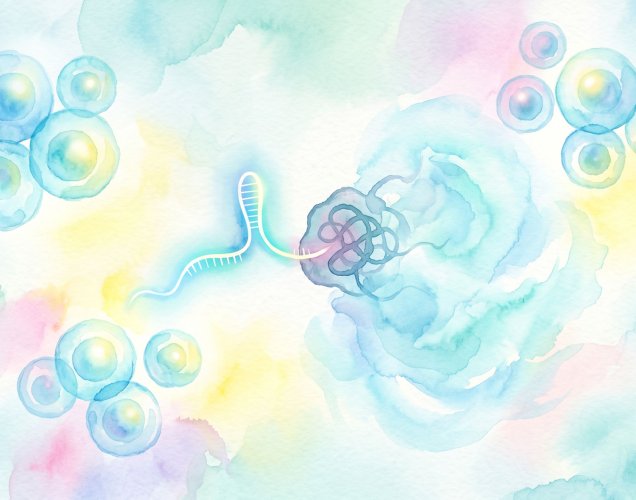 CRISPR İLE Onkolojide HATA DÜZELT Çağından HATALI HÜCREYİ YOK ET Çağına