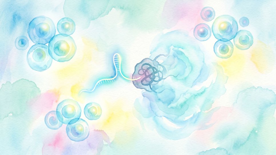CRISPR İLE Onkolojide HATA DÜZELT Çağından HATALI HÜCREYİ YOK ET Çağına