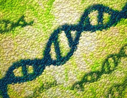 CRISPR ile T Hücrelerin Kansere Karşı Neden Pasif Kaldığı Analiz Edilip Aktifleştirilebilir