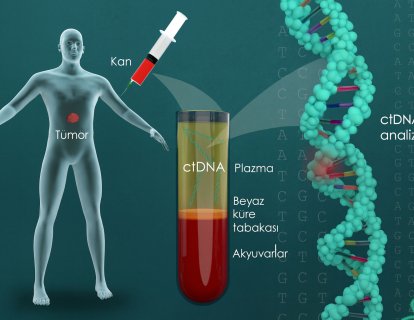 Görünür Hastalık Yerine Moleküler Hastalık! ctDNA Testinde Mesane ve Kolon Kanserinde Neredeyiz?