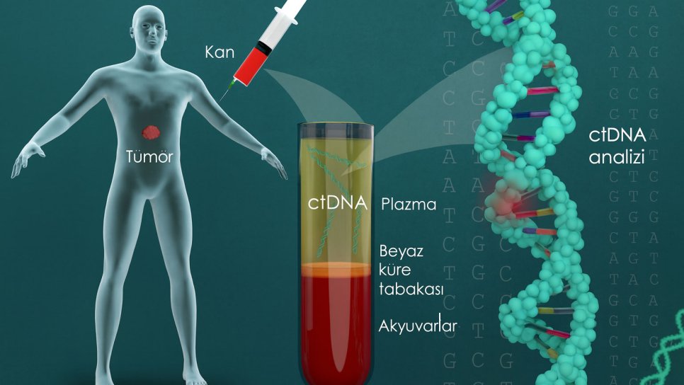Görünür Hastalık Yerine Moleküler Hastalık! ctDNA Testinde Mesane ve Kolon Kanserinde Neredeyiz?