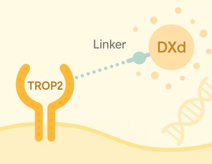 Datopotamab deruxtecan ( Datroway) Nedir? FDA Onayı, Türkiye Ruhsatı ve Geri Ödeme Durumu
