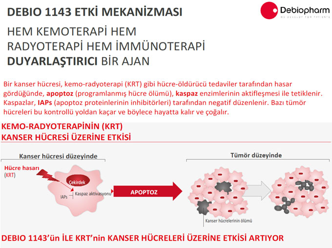 debio 1143 mechanism of action