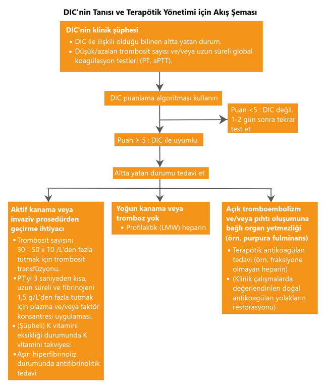 dic tedavi algoritmasi nasil yapilir 176682