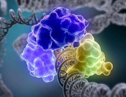 DNA’yı Doğal Hasarlardan Koruyan Bir Mekanizma Keşfedildi