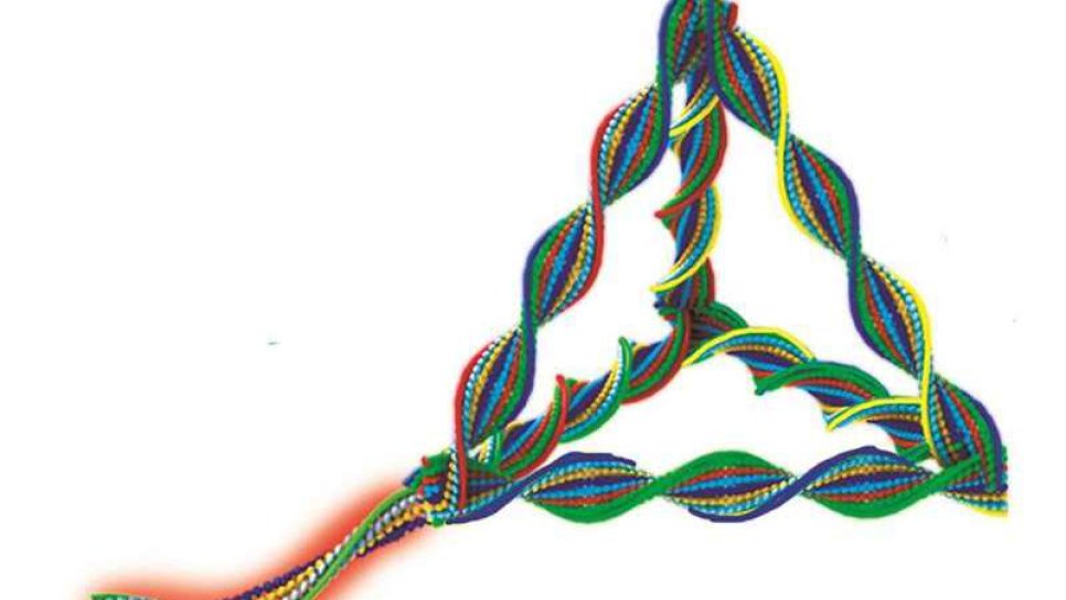 DNA NANOROBOTLAR ile HER2 Pozitif MemeKanseri Hücrelerini Hedef Almak