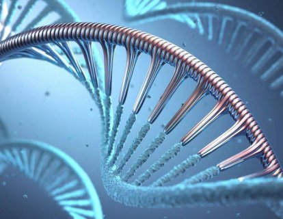 DNA sentezi nedir? Kanser oluşumu açısından önemi