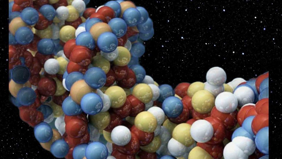 DNA’nın Yapısı 1953 – Yeni Bir Devrin Başlangıcı