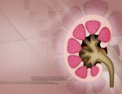 4. Evre Böbrek Kanseri 1. Basamak Tedavisinde Cabozantinib FDA Onayı Aldı