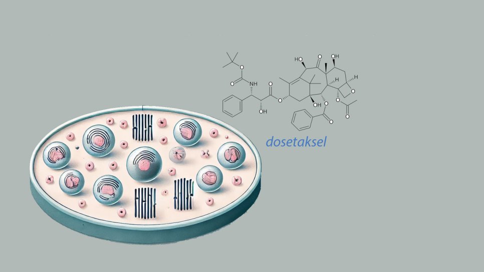Dosetaksel Nedir? FDA Onayı, Türkiye Ruhsatı ve Geri Ödeme Durumu