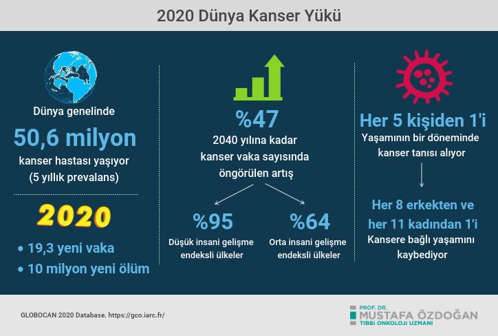 dunya kanser istatistikleri 2020 kanser yuku artis insidans 398630