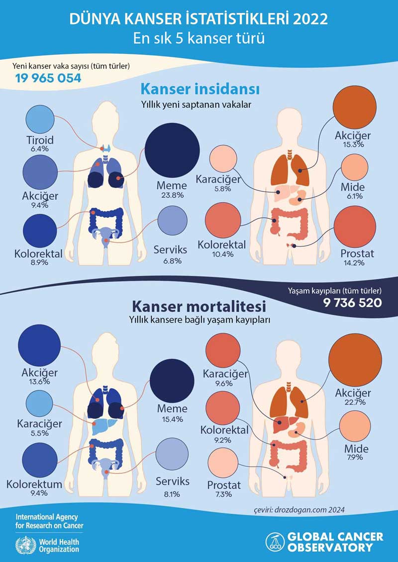 Global cancer statistics 2022: the most common cancers and those causing the most deaths