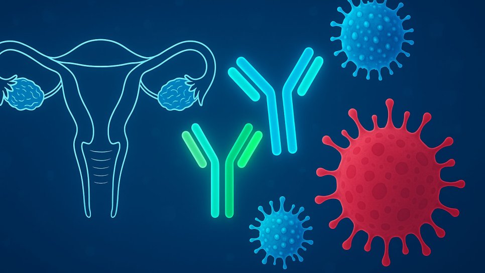 Nivolumab და Ipilimumab შორსწასულ გინეკოლოგიურ ნათელუჯრედოვან კარცინომებში: MoST-CIRCUIT კვლევა
