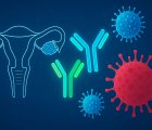 Nivolumab and Ipilimumab in Advanced Gynecologic Clear Cell Carcinomas: MoST-CIRCUIT Trial