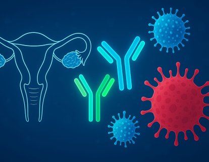 Nivolumab and Ipilimumab in Advanced Gynecologic Clear Cell Carcinomas: MoST-CIRCUIT Trial