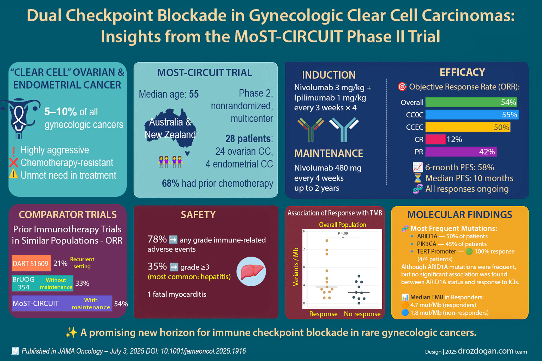 efficacy and safety of dual immune checkpoint blockade in advanced gynecologic clear cell carcinoma