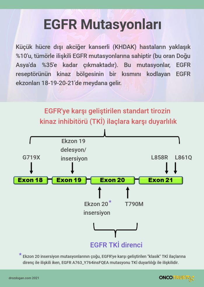 جهش درج اگزون 20 در egfr چیست؛ موبوسرتینیب