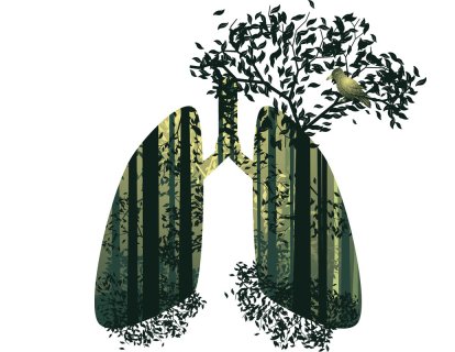 EGFR Mutant Akciğer Kanserinde Metformin ve Tirozin Kinaz İnhibitörü Sağkalımı Uzatır