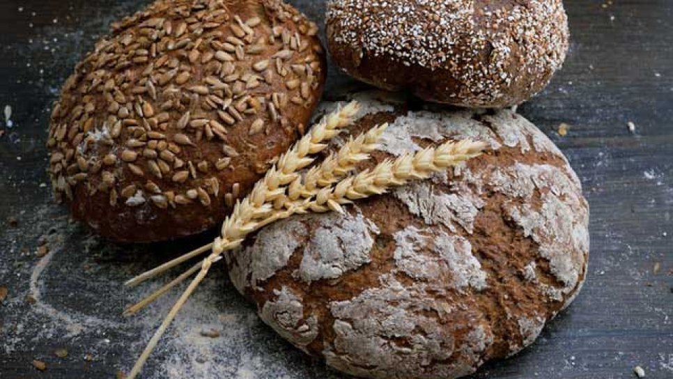 Ist Brotessen ungesund? Wie sollte ein gesundes Brot beschaffen sein?