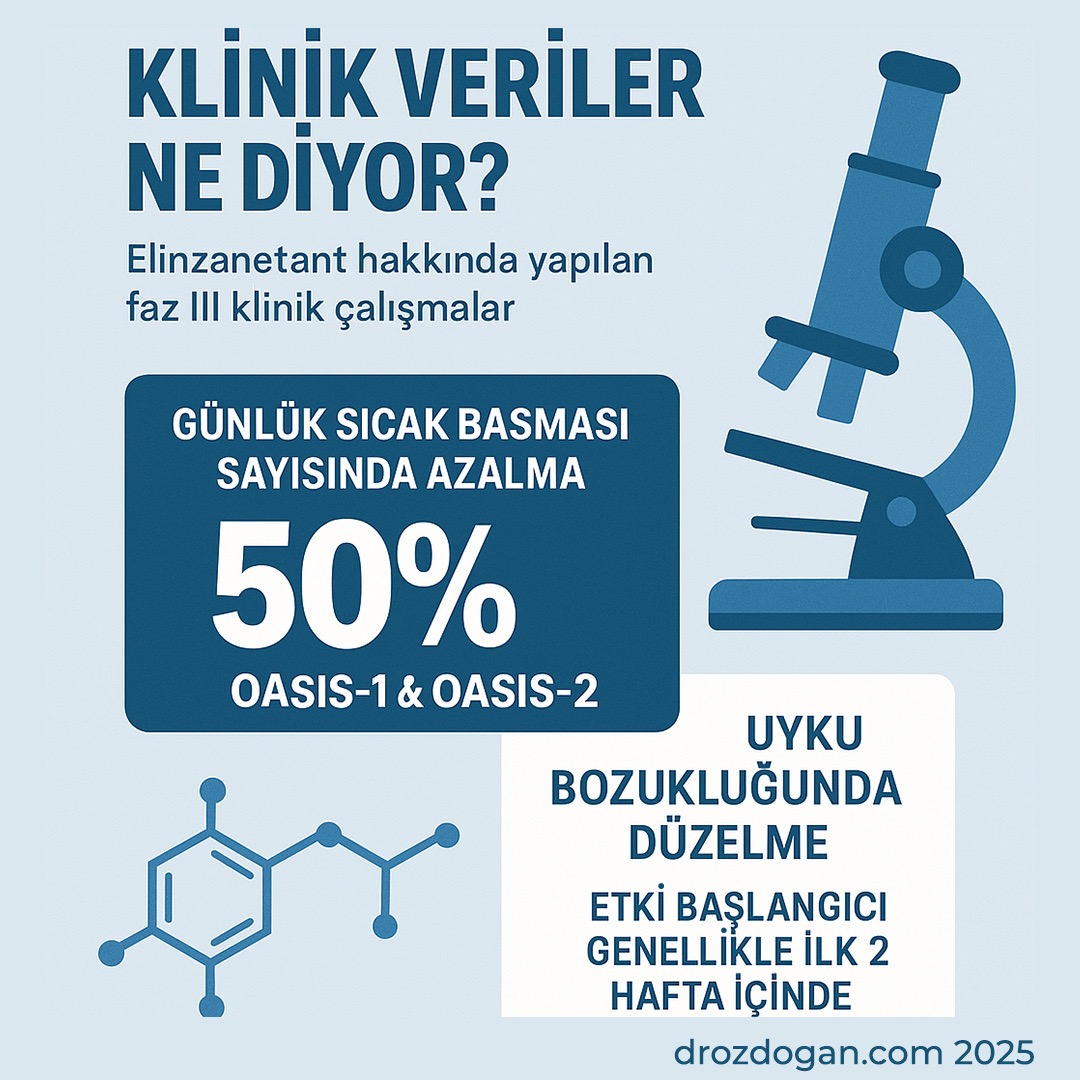 elinzanetant nedir meme kanseri ve menopozda sicak basmalarina yeni cozum 138530