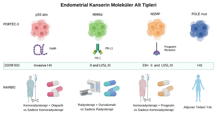 endometrial kanserin molekuler alt tipleri ve ilgili tedavi stratejileri transportec rainbo faz 3 r