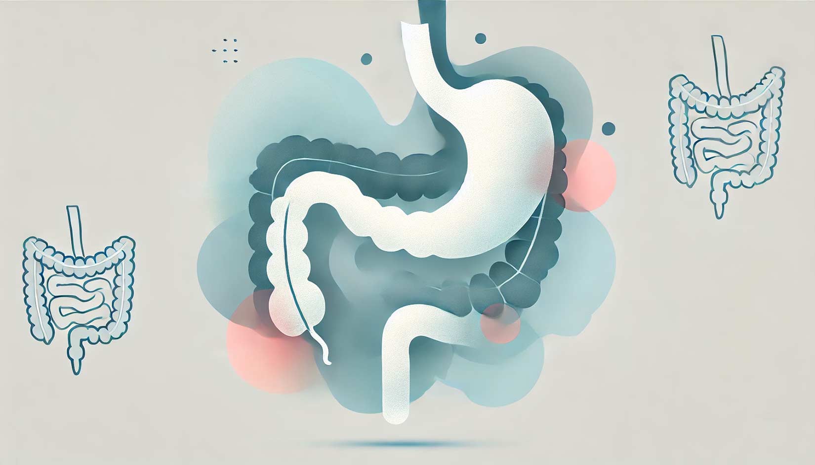 آندوسکوپی چیست؛ چرا و چگونه انجام میشود؟ 2