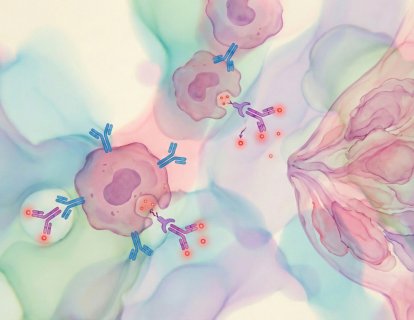 Enhertu (Trastuzumab Deruxtecan)  ve Pertuzumab (Perjeta) Tedavi Rejimi 