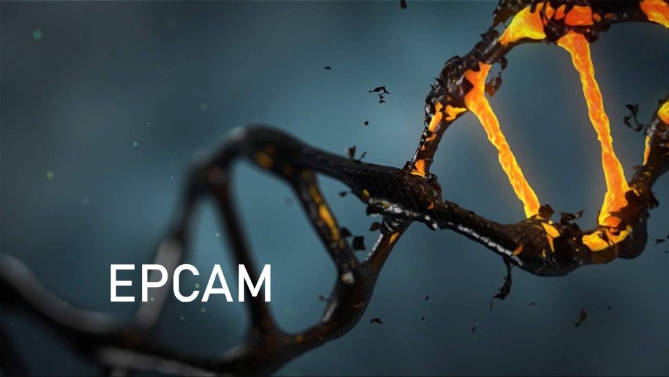EPCAM mutasyonu nedir? Hangi kanserlerin riskini artırır?