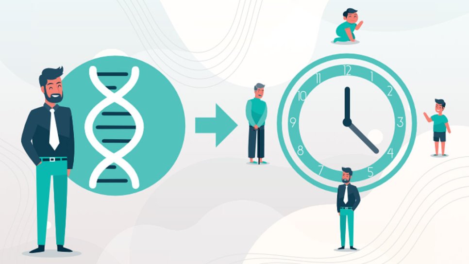 Biologisches Altern nach einer Krebsbehandlung mit der epigenetischen Uhr bestimmen