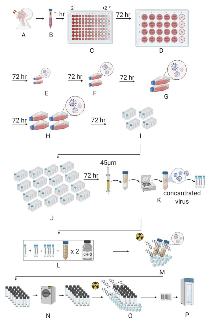 ercument ovali koronavirus asisi hazirlama sureci 460778
