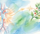 Erektil Disfonksiyon İlaçları: Sildenafil, Tadalafil, Vardenafil, Avanafil Karşılaştırması
