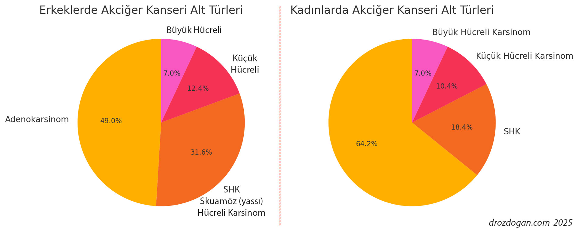 Apple charts showing the frequency of lung cancer subtypes in men and women
