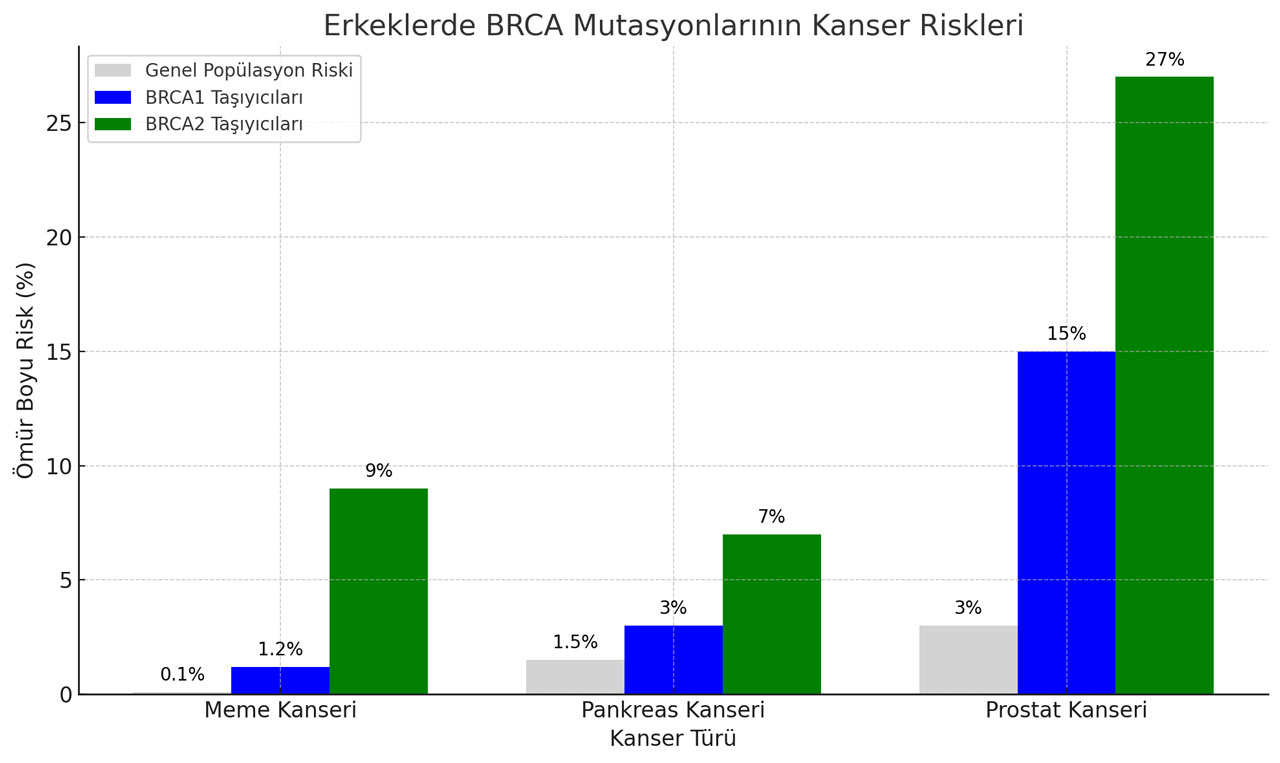 Welche Krebsrisiken erhöhen BRCA-Mutationen bei Männern und in welchem Ausmaß?