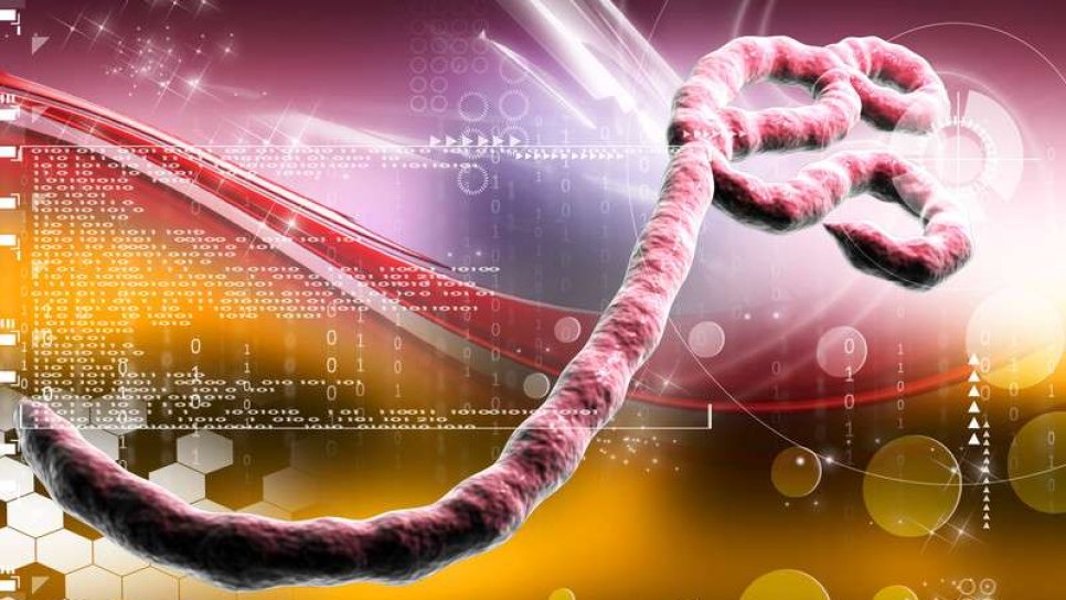 Tıpta Önemli Gelişme – Ebola İçin İlk FDA Onaylı Aşı Duyuruldu!