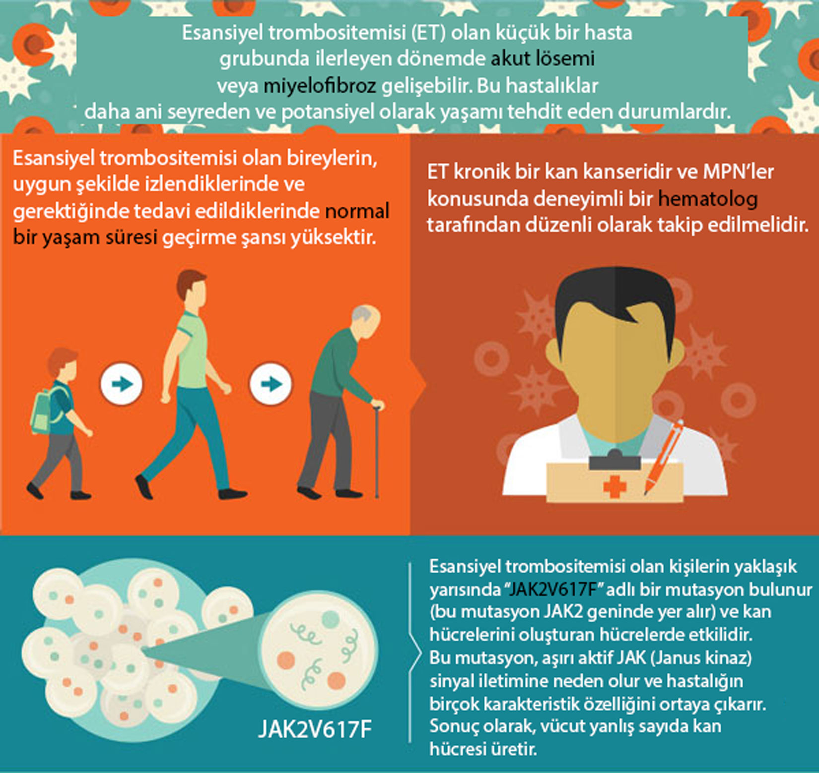 What is essential thrombocythemia? Symptoms, features, risks, and genetics