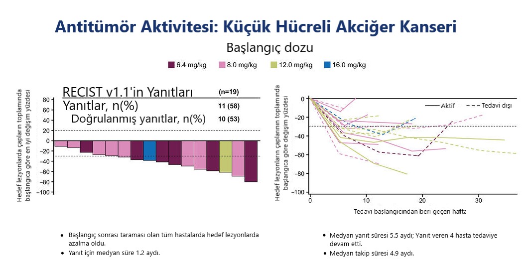 ESMO 2022، کنژوگه آنتی‌بادی‌ـ‌دارو DS 7300، فعالیت ضدتومور KHDAK