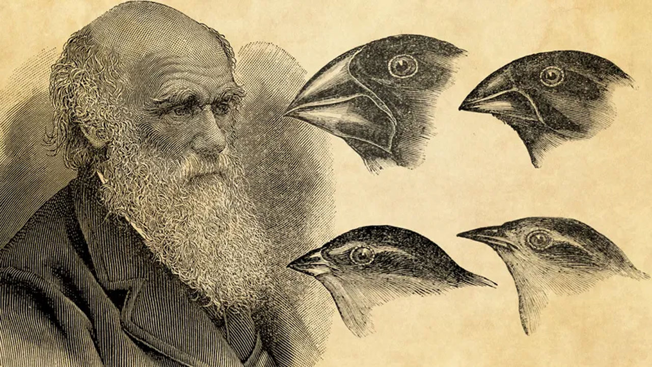 evrimin izinde darwin ve ispinozlarin sessiz tanikligi bu kuslar bir teoriyi degil tum bilimi degis