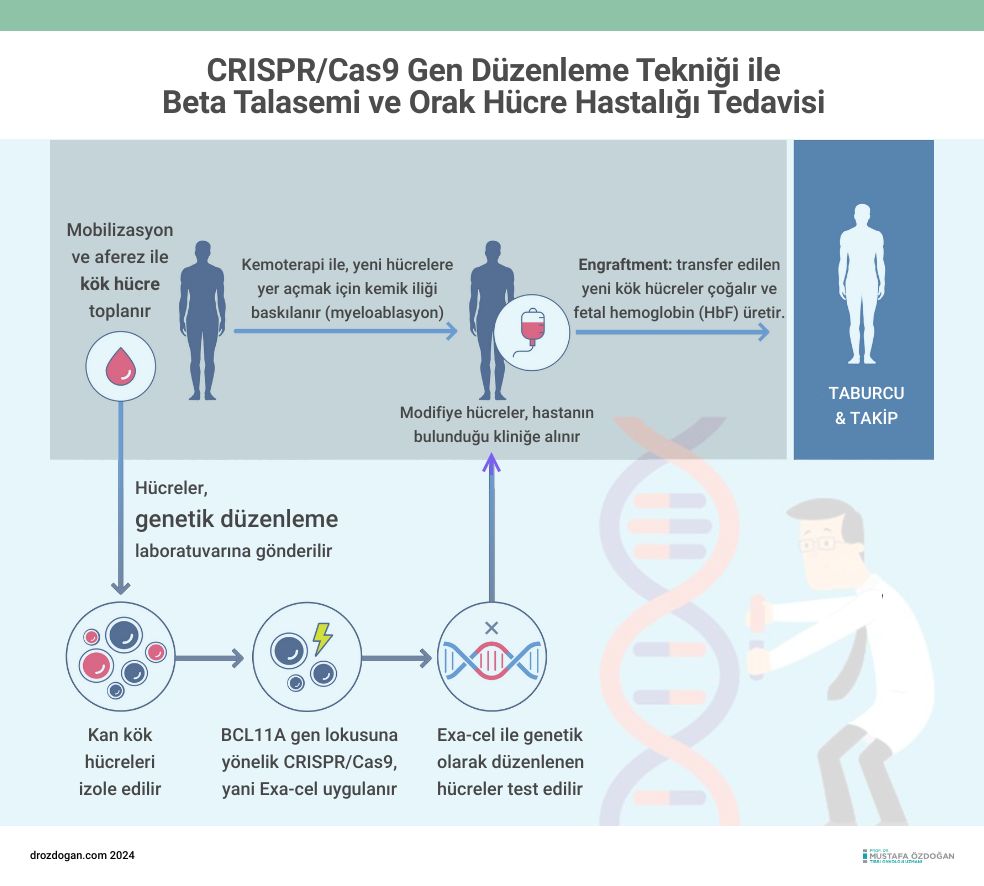 exa cel crispr cas9 beta talasemi ve orak hucre anemi tedavisi 221142