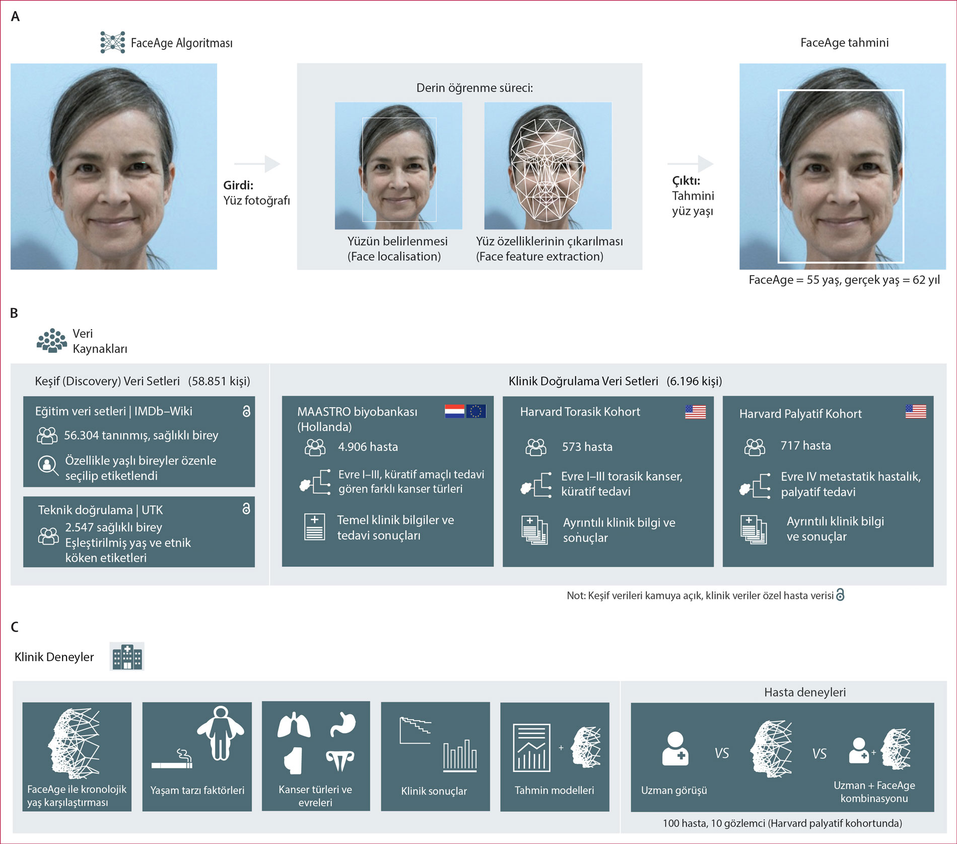 Алгоритм FaceAge: анализ выживаемости при раке по фотографии лица с искусственным интеллектом