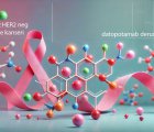 FDA, İleri Evre HR-Pozitif, HER2-Negatif Meme Kanserinde Datopotamab Derukstekanı Onayladı
